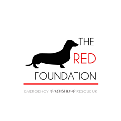 The Red Foundation - Emergency Dachshund Rescue UK